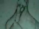 The Antichrist Dajjal will be a Reptilian Shapeshifter p 63 The Antichrist Dajjal will be a Reptilian Shapeshifter p 63