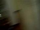 Troubacoustic Troubacoustic
