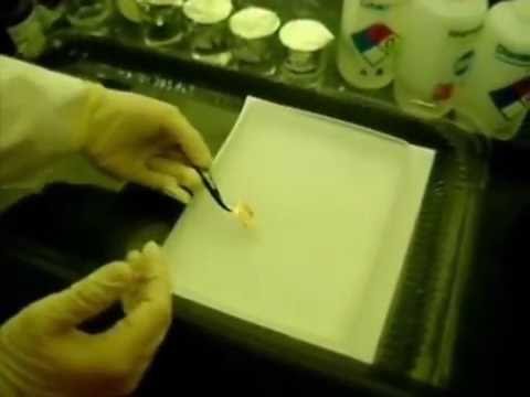 how to grow graphene by cvd