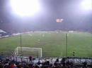 steaua steaua