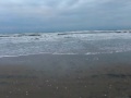 only person to enter the gulf at south padre this afternoon