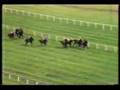 John Henry winning 1981 Arlington Million