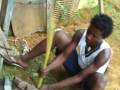 videos de MELITON PABLO - Elik Esua - Selí­n Samuraï - Guinea Ecuatorial