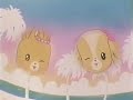 メイプルタウン物語