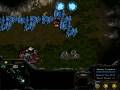 videos de scv_bunching.mov