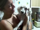 Chimo, una cosa peque�a