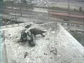 Harrisburg Falcons