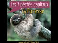 7-p-chs-capitaux-.html