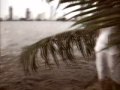 Video screenshot