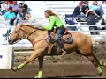 Palomino Appendix Quarter Horse Mare For Sale 2 Palomino Appendix Quarter Horse Mare For Sale 2