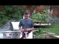 Marinated Grilled Shrimp