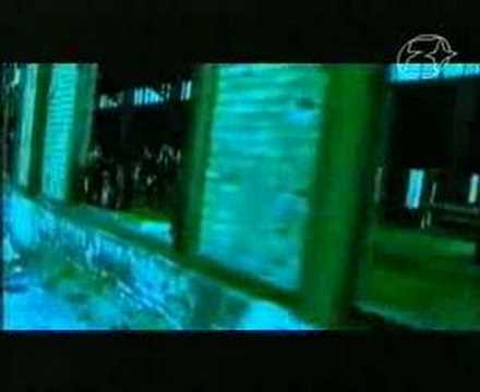 Venus - Élem az életem