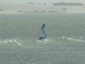 videos de Surf TV 03 November 2008