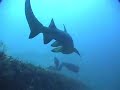 Aeolus Aeolus