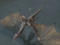 lineage ii   video pvp test server c4