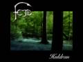 fejd - Älvorna Dansar - from album storm