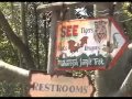 Asia Introduction/Maharajah Jungle Trek - The Best of Dave Does Disney