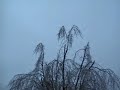 Ice Storm Jan. 13, 2007 7:30am Central