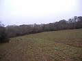 chasse aux chiens courants 7
