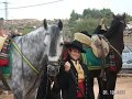 La historia de un caballo muy especial
