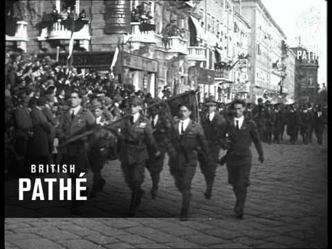 Immagine anteprima YouTube