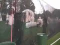 RatTV - Cynergy RatTV - Cynergy