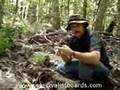 Water in the wilderness - Part 1