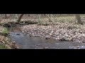 Oak Mountain State Park -  Camp Road - HD - Oak Mountain 12-06-09.divx