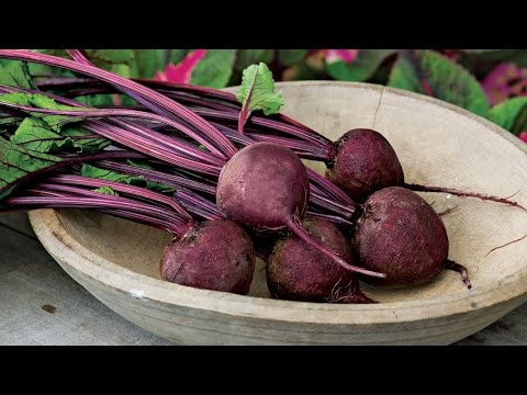 how to replant beets