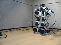 Real Transformer - Bioloid -