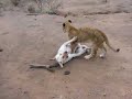 Prince and Akila
