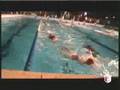Click to View : Notte Bianca dello Sport - C.U.S. Bari