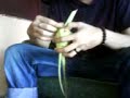 made a ketupat by paraxixth made a ketupat by paraxixth