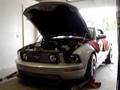 BRENSPEED SALEEN SUPERCHARGED MUSTANGS