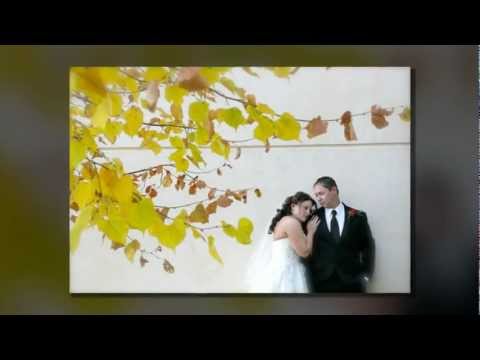 Watch 'Michigan Wedding Photographer'