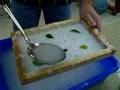 Demo - 4th Grade Paper Making