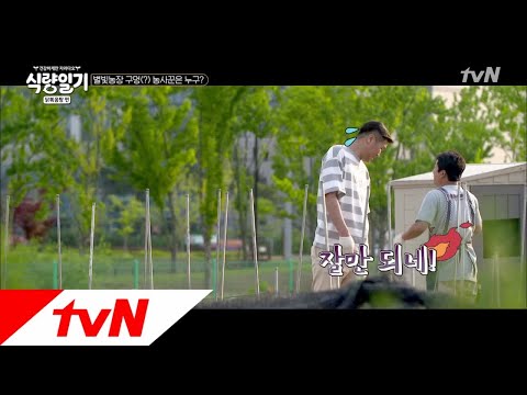 fooddiary '아이C~' 칭찬이 넘치는 농장의 하루☆ 180704 EP.5