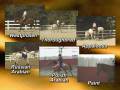 videos de any Horse, any Rider 30 sec TV spot
