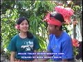 Lebur anyong Lebur anyong