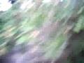 videos de el verdadero rescate de ingrid bentancure
