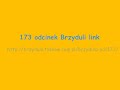 brzydula odcinek 173