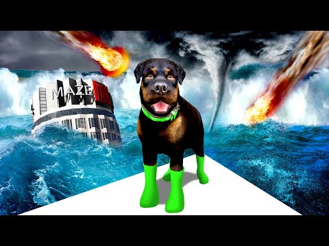 video-linktoworks-GTA 5 - PLAYING as CHOP in EVERY Natural Disaster!