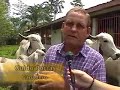 El amargo sabor de la pi�a. Parte 1.