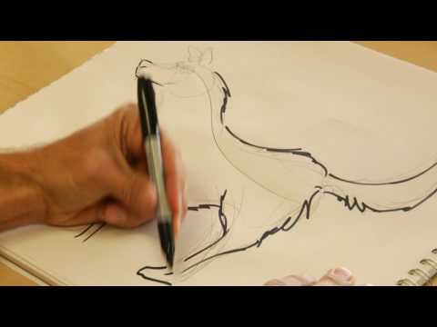 Drawing From Nature : How to Draw a Wolf