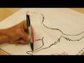 videos de Drawing From Nature : How to Draw a Wolf