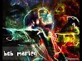 Bob Marley - Soul Shakedown Party (Remixed)