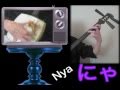 Nyan Cat Arranged for Three-Stringed Fretless Japanese Lute (Tsugaru shamisen)! - YouTube