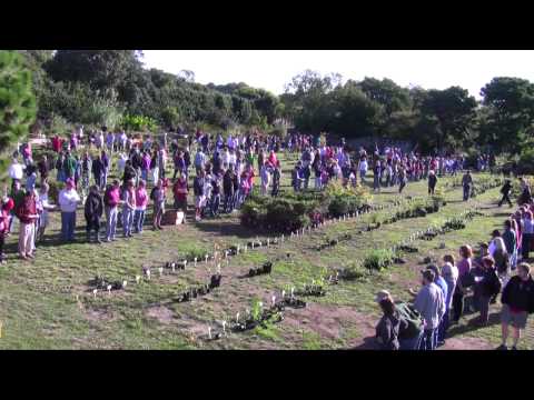 Annual Plants - The epic event of public horticulture where thousands of choice and rare plants are freely given away to Friends of the JC Raulston Arboretum at NC State Uni...