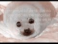 falsa alarma- desde mi ventana falsa alarma- desde mi ventana