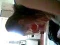 kaka passando roupa ;P